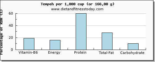 vitamin b6 and nutritional content in tempeh